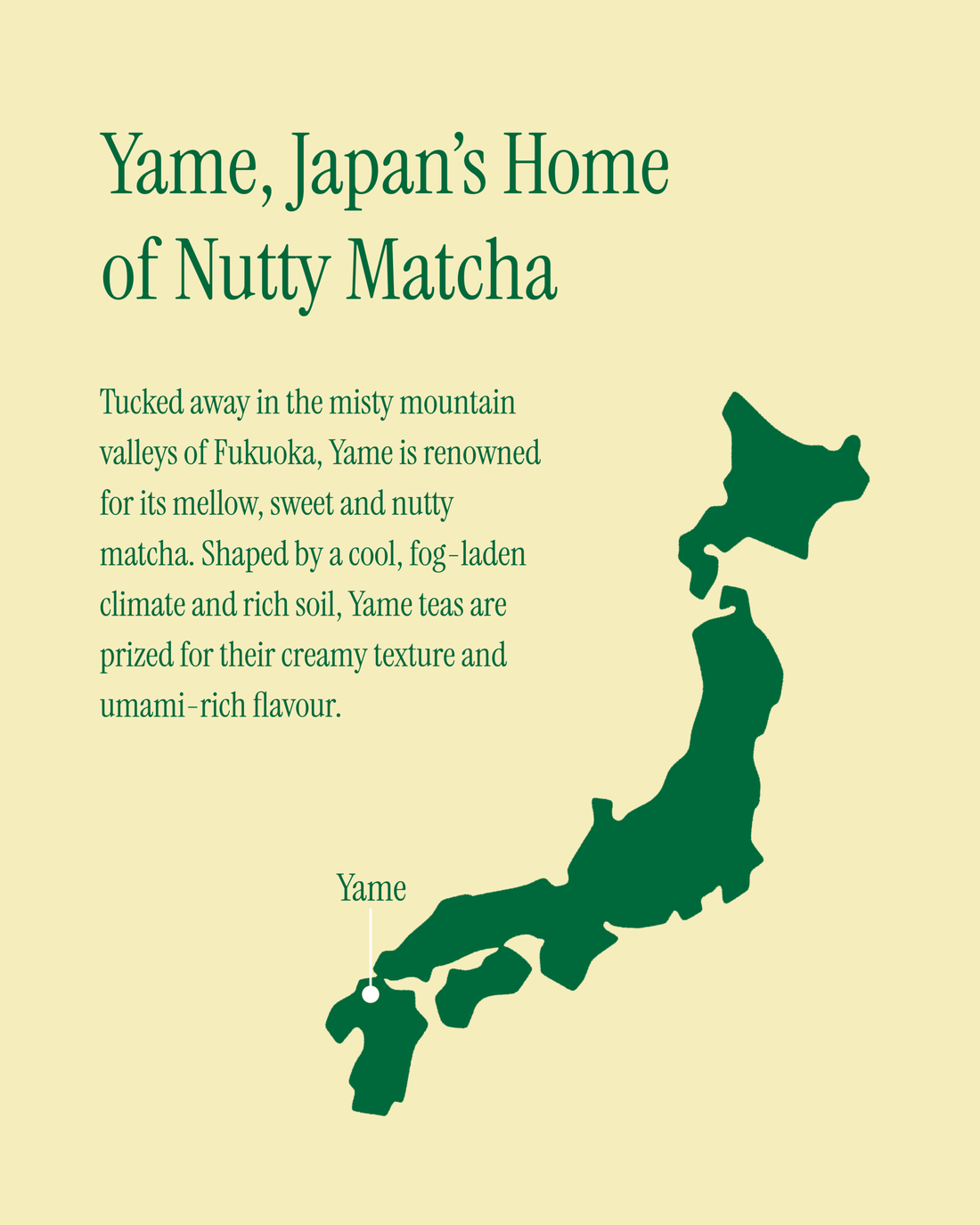 Yame Matcha