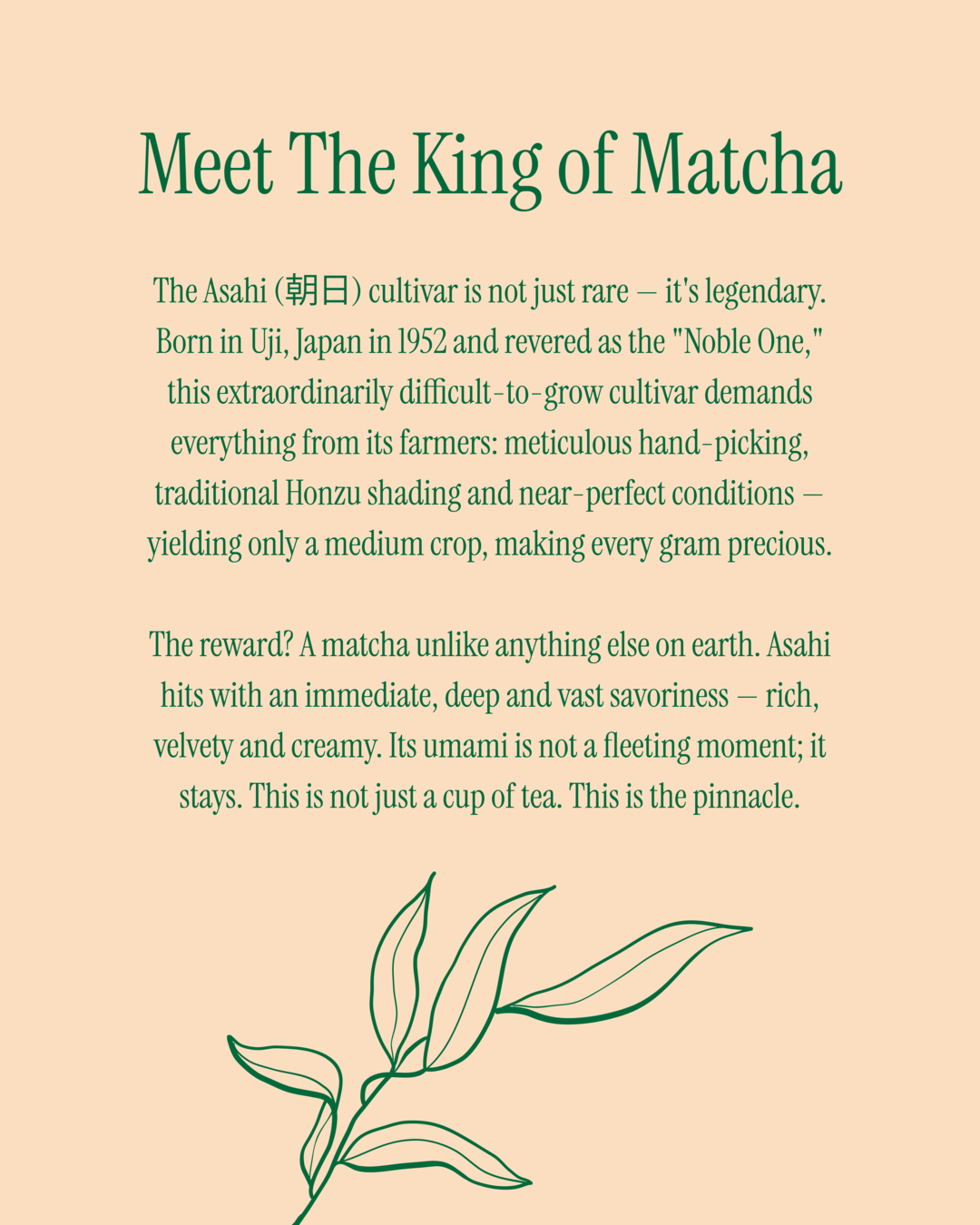 Asahi Matcha - Limited Reserve