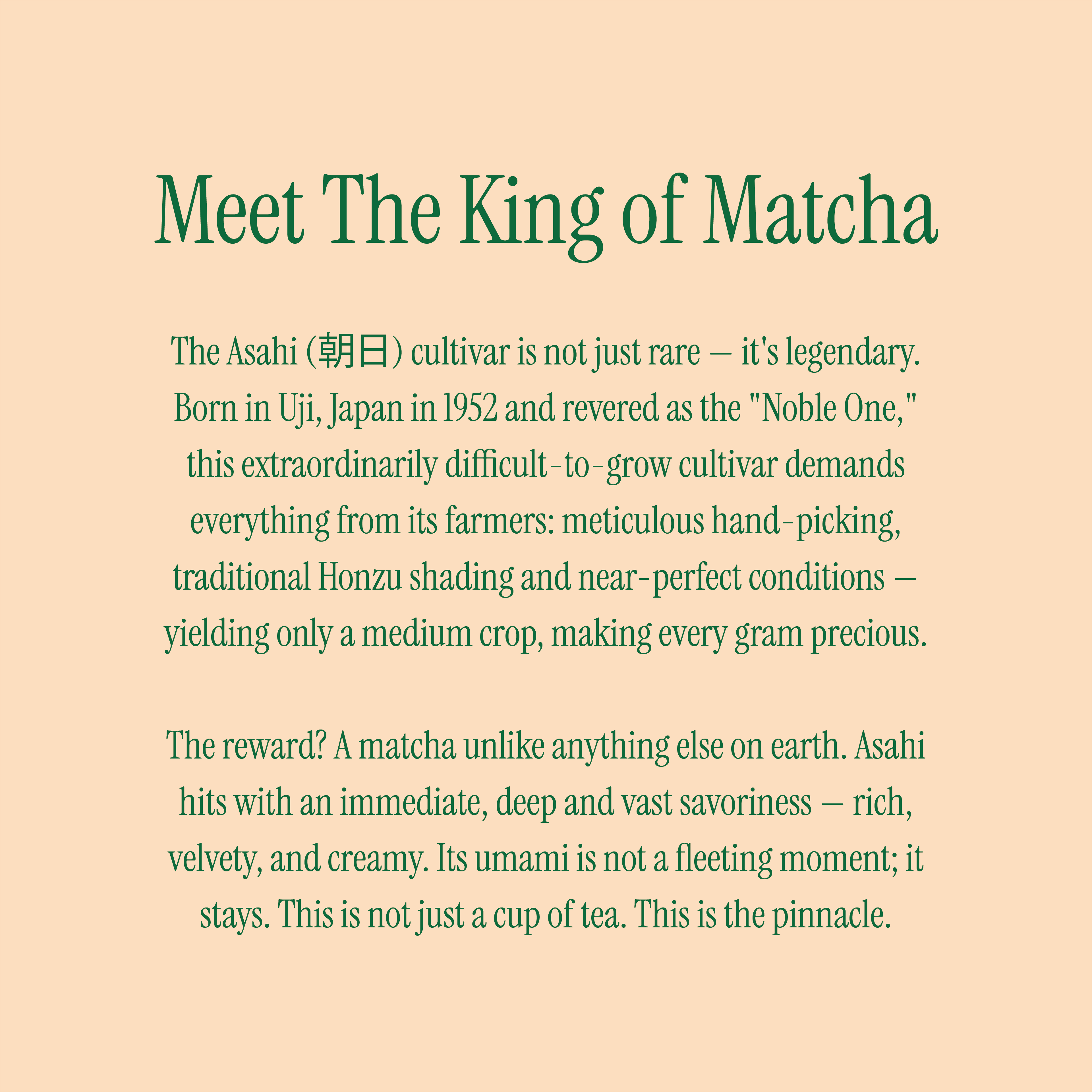 Asahi Matcha - Limited Reserve