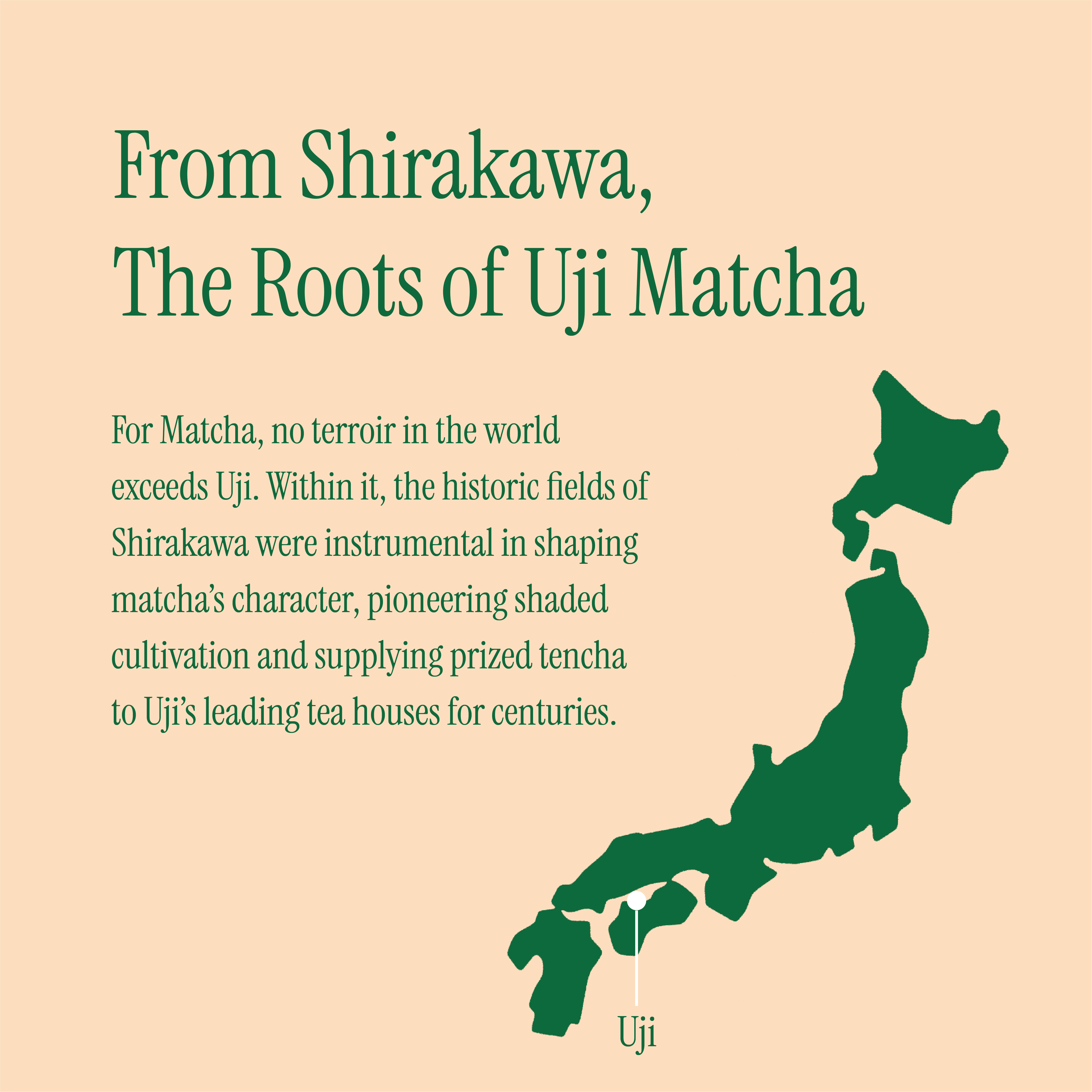 Asahi Matcha - Limited Reserve