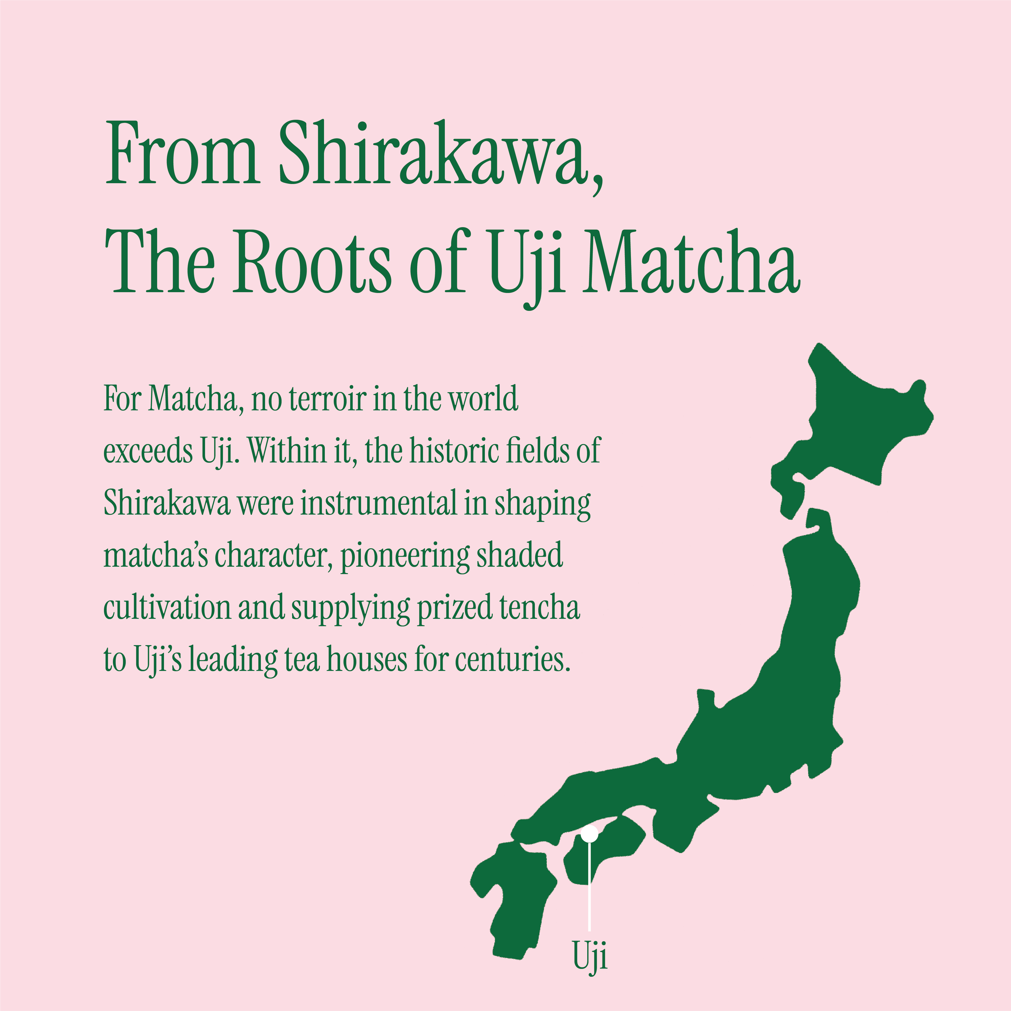 Uji Matcha